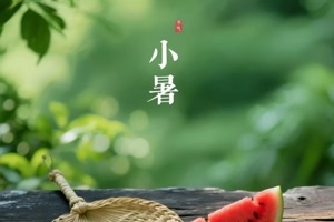 Lesser Heat: When the Mind Is at Peace,Coolness Naturally Follows