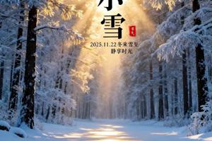 Minor Snow: A Touch of Cold, A Return to Serenity