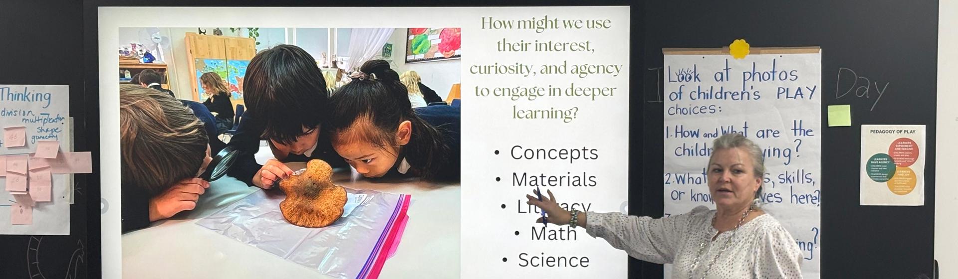 江苏中小学教师引智培训